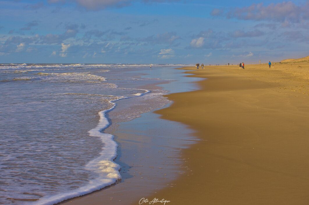 Photo of Others in Arvert