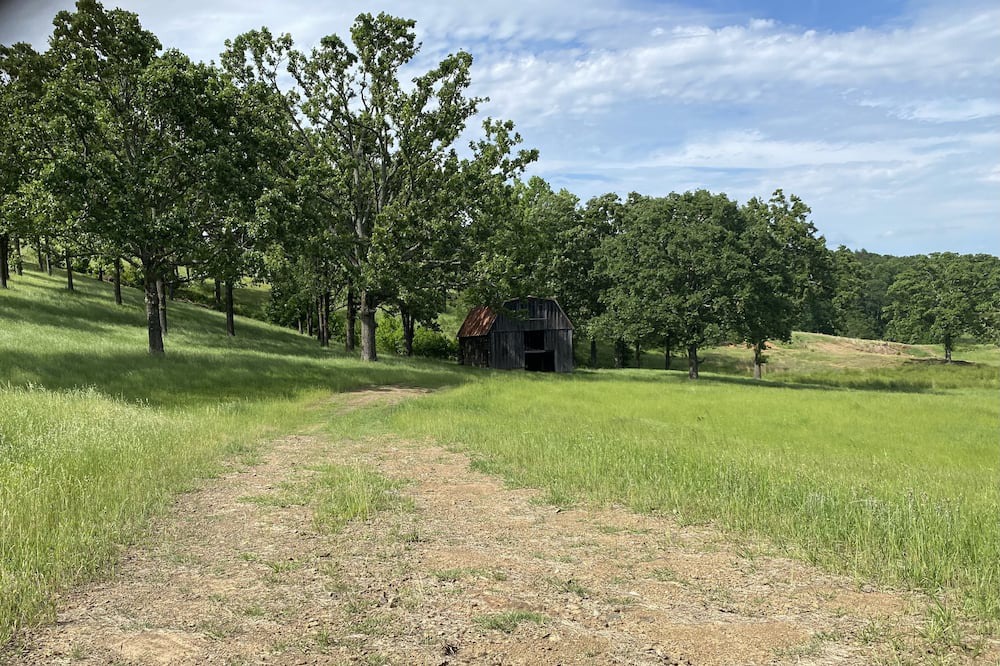 Photo of Outdoor in Cecil