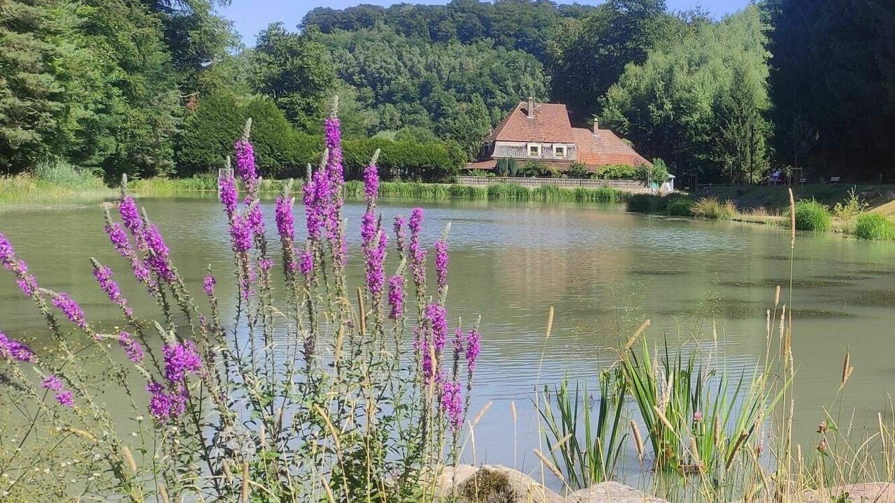 Photo of Outdoor in Hombourg-Haut