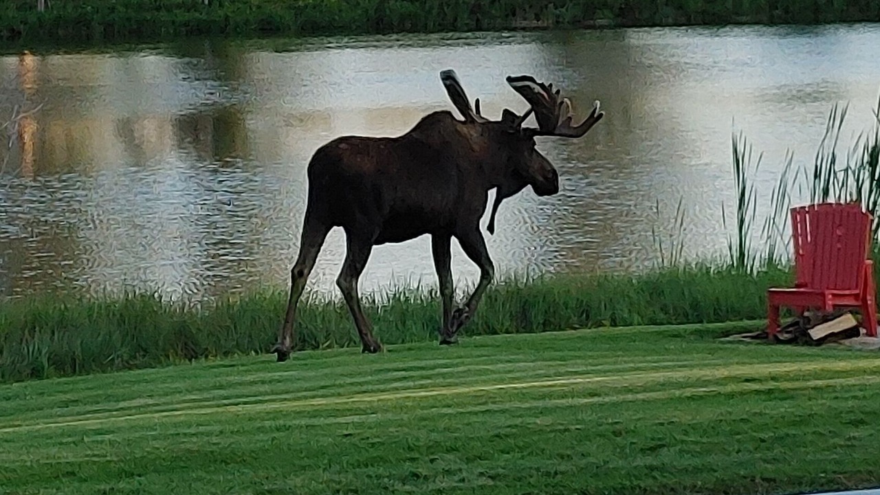 Photo of Others in Grantsdale