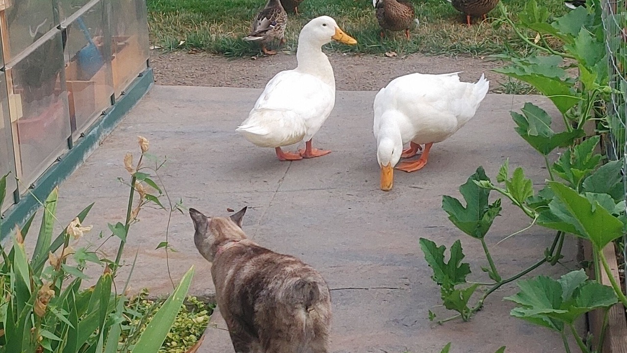 Photo of Outdoor in Grantsdale