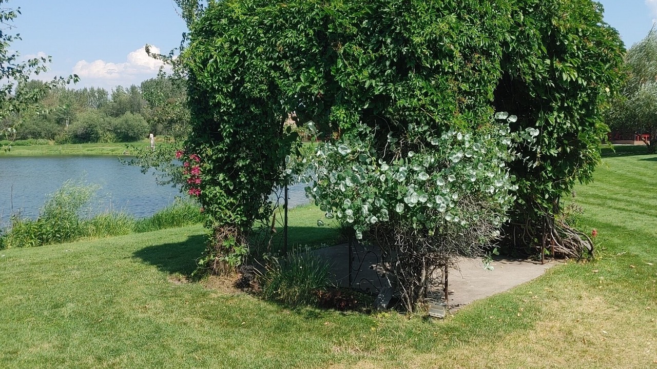 Photo of Outdoor in Grantsdale