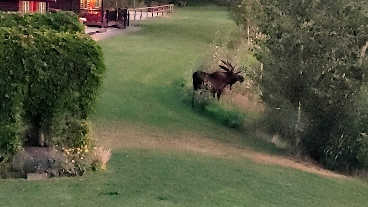 Photo of Outdoor in Grantsdale