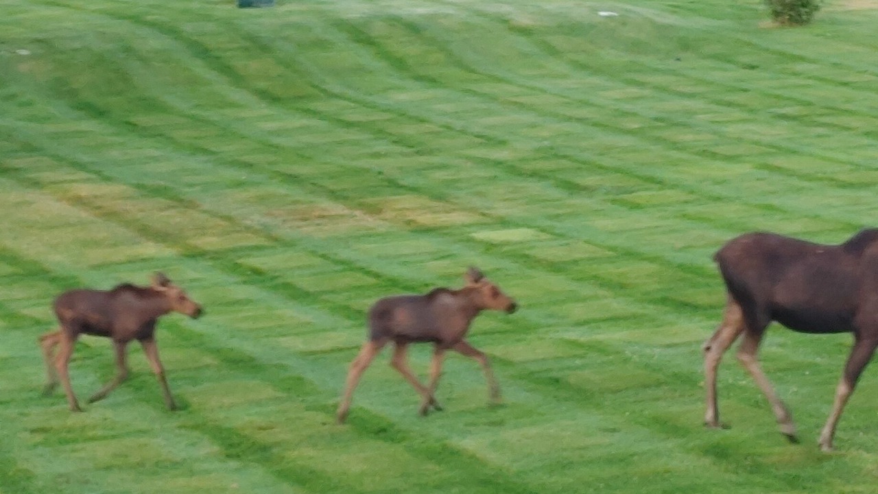 Photo of Outdoor in Grantsdale