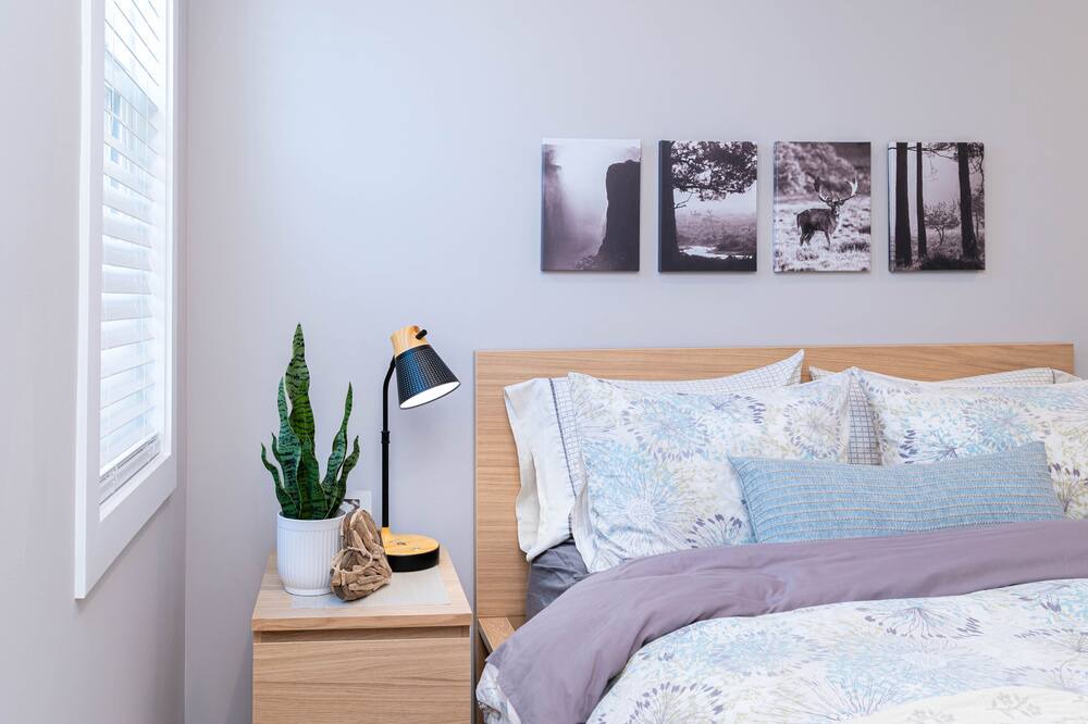Photo of Bedroom in Novato