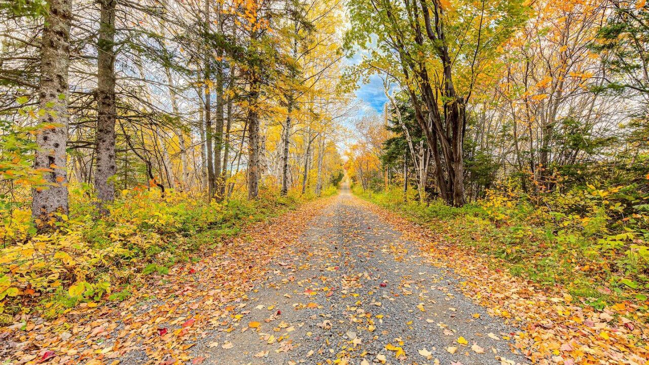 Photo of Outdoor in La Malbaie