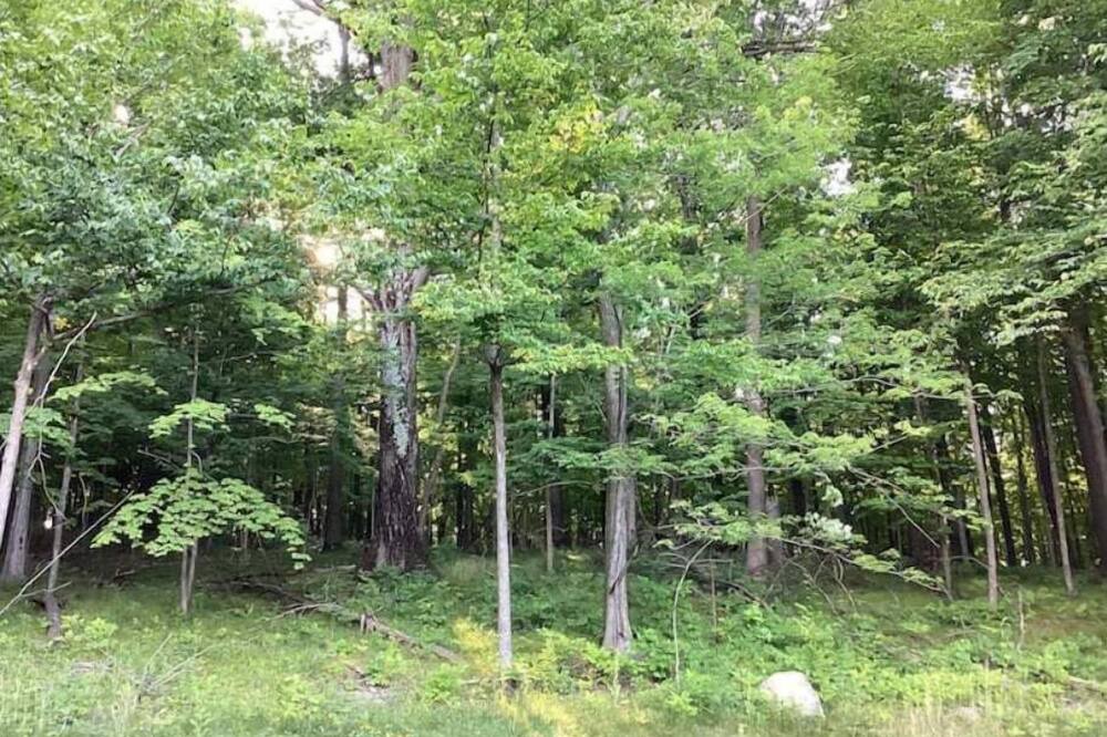 Photo of Outdoor in Holcomb