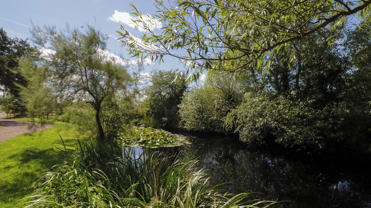 Photo of Others in Whitney-on-Wye