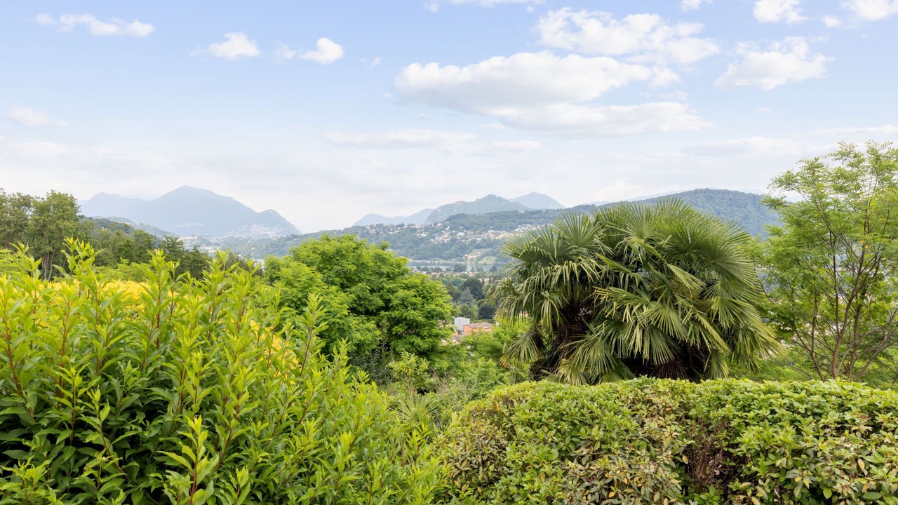 Photo of Outdoor in Pura