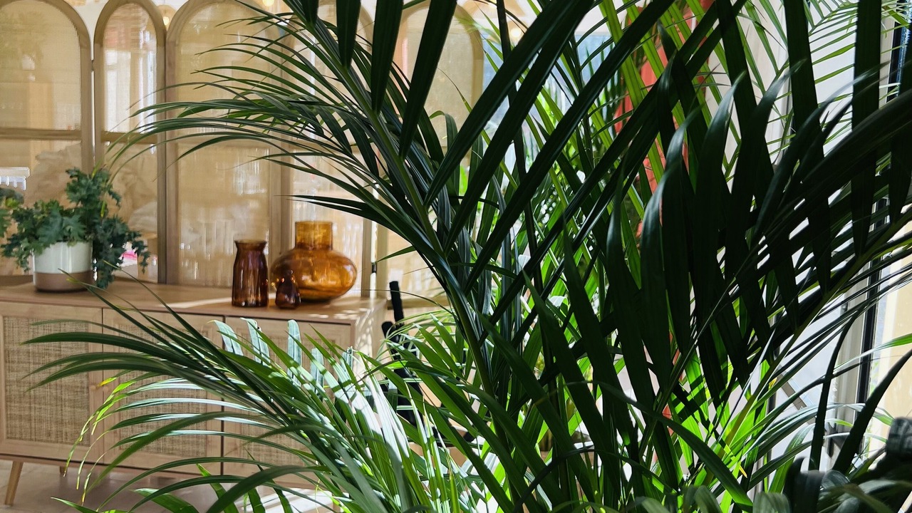 Photo of Others in Mesves-sur-Loire