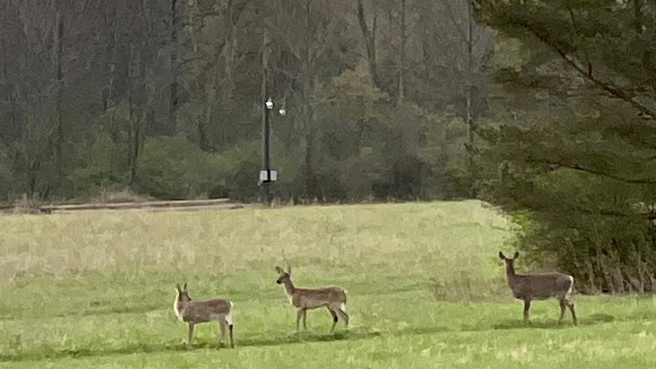 Photo of Others in Trumansburg