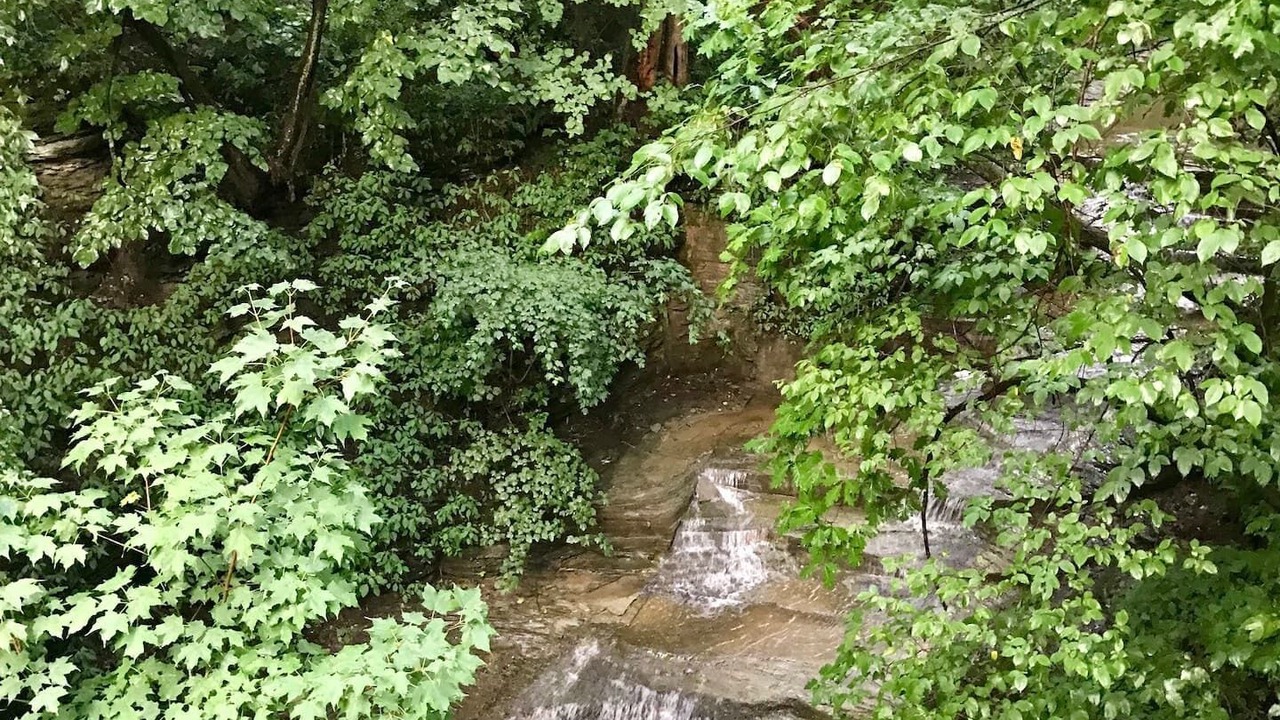 Photo of Outdoor in Trumansburg