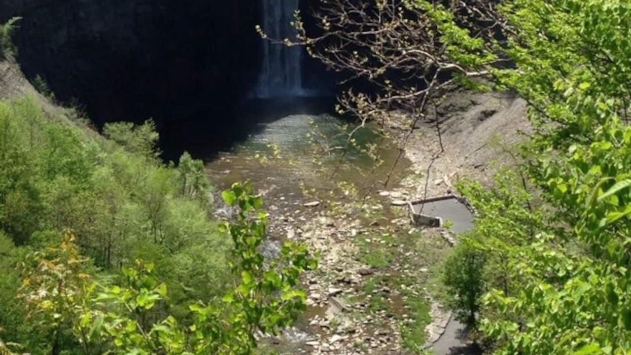 Photo of Outdoor in Trumansburg