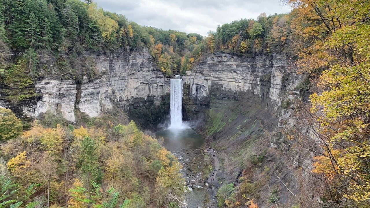 Photo of Others in Trumansburg