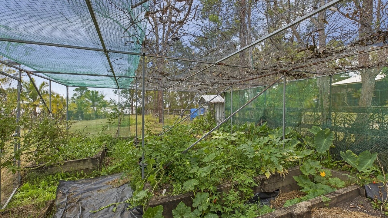 Photo of Outdoor in Jilliby