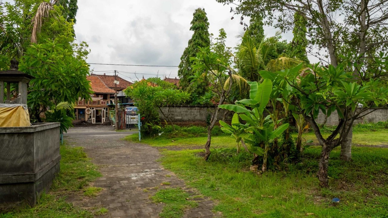 Photo of Outdoor in Lovina