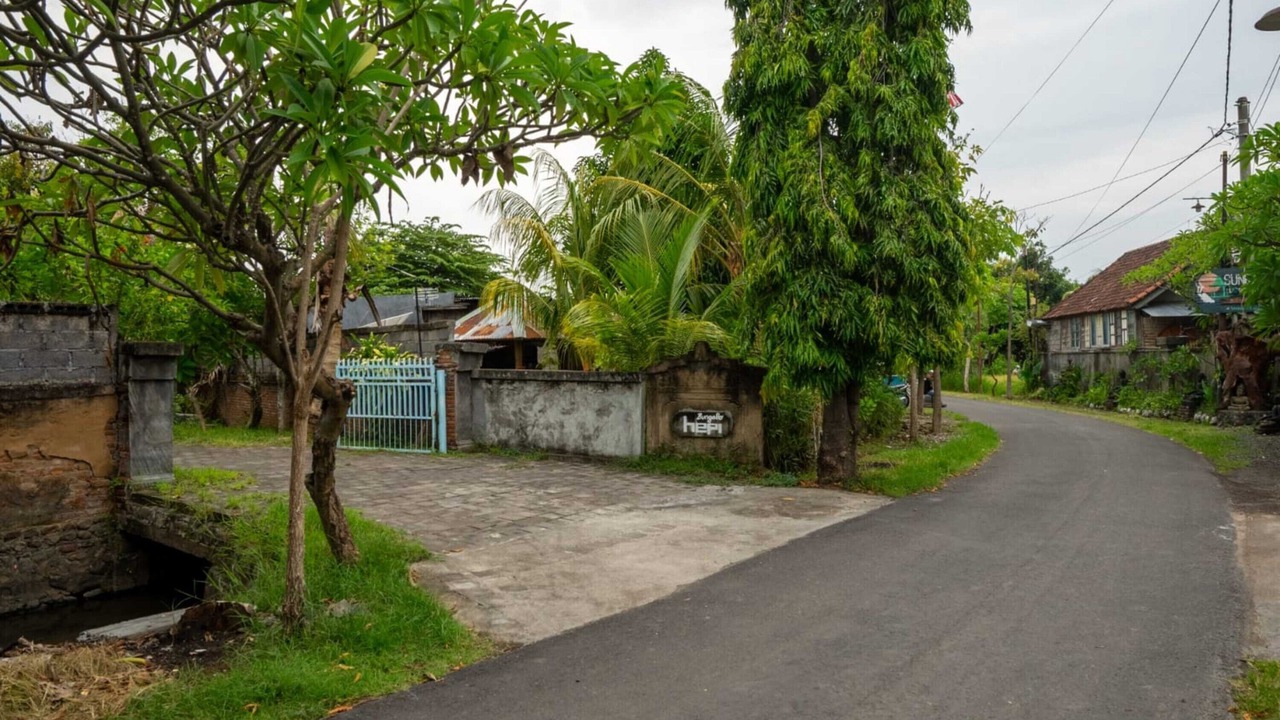 Photo of Outdoor in Lovina