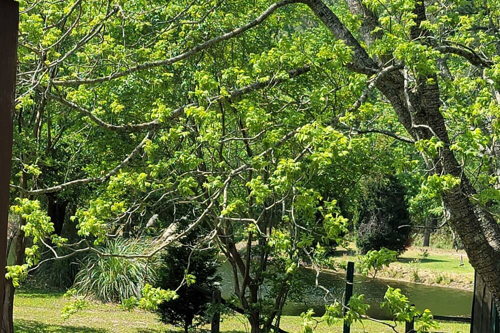Photo of Outdoor in Pinetown