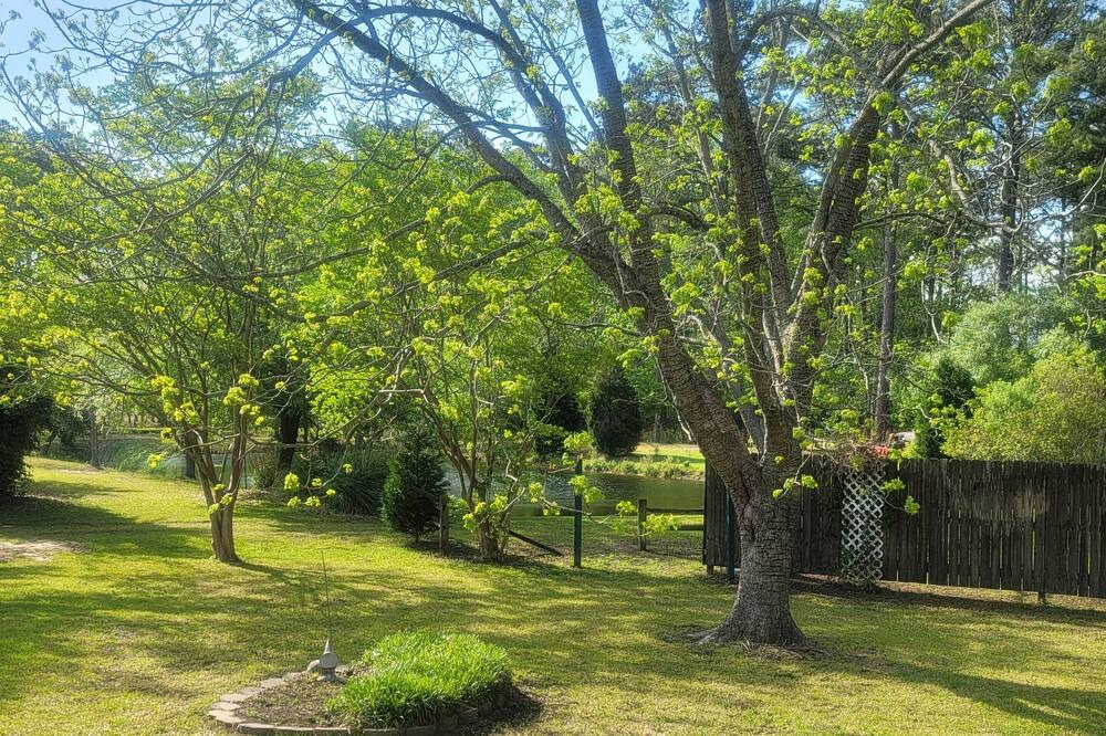 Photo of Outdoor in Pinetown