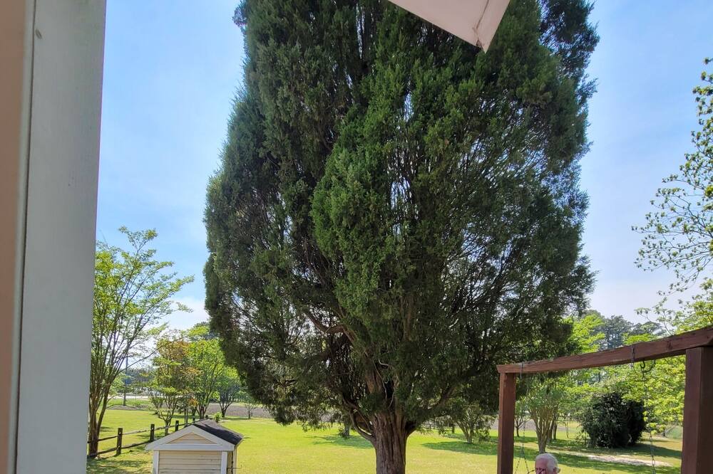 Photo of Others in Pinetown