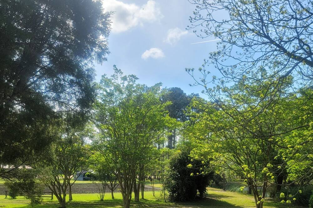 Photo of Outdoor in Pinetown