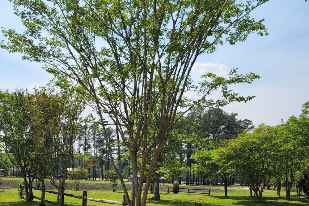 Photo of Others in Pinetown