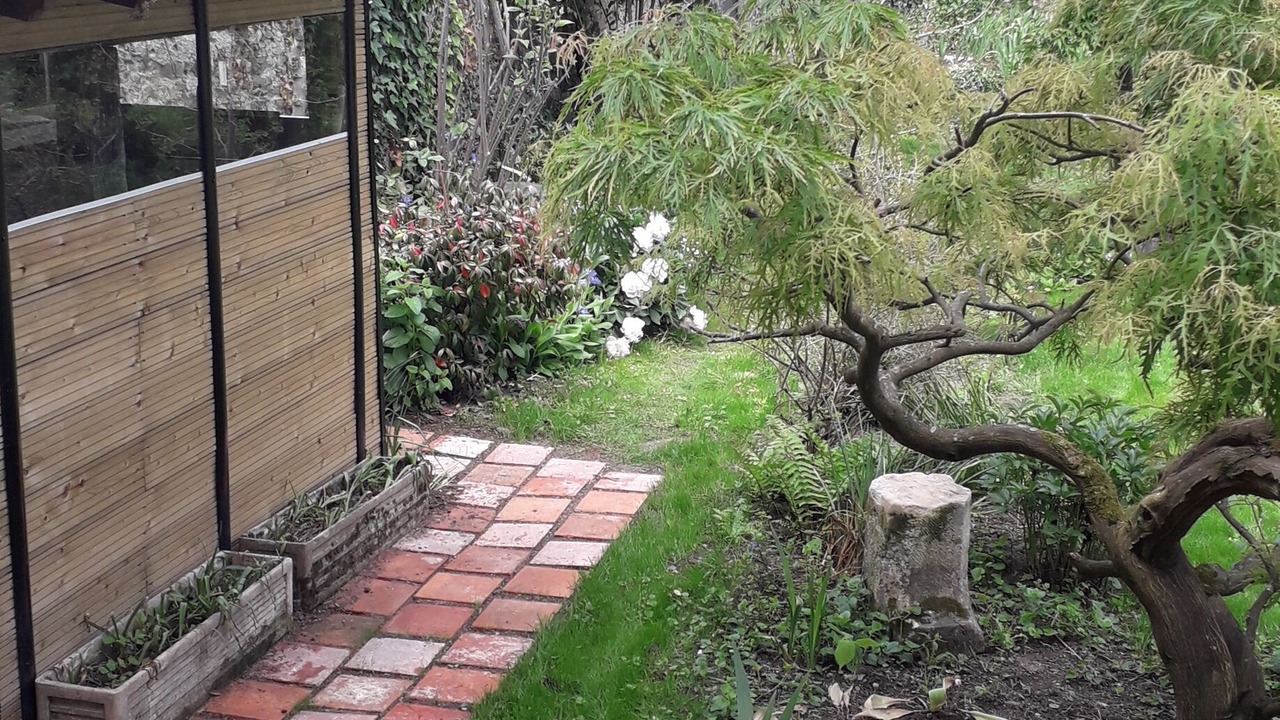 Photo of Outdoor in Chalonnes-sur-Loire