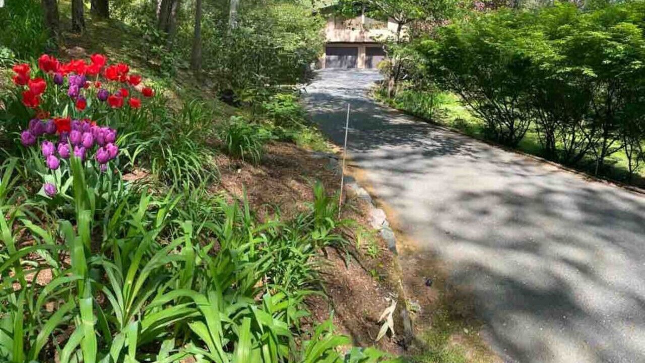 Photo of Outdoor in Weston