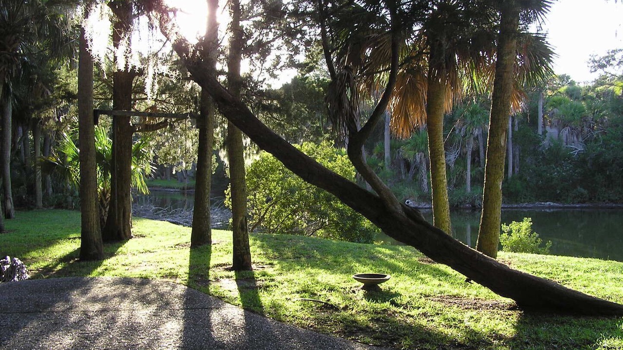 Photo of Outdoor in Blue Heron Lake