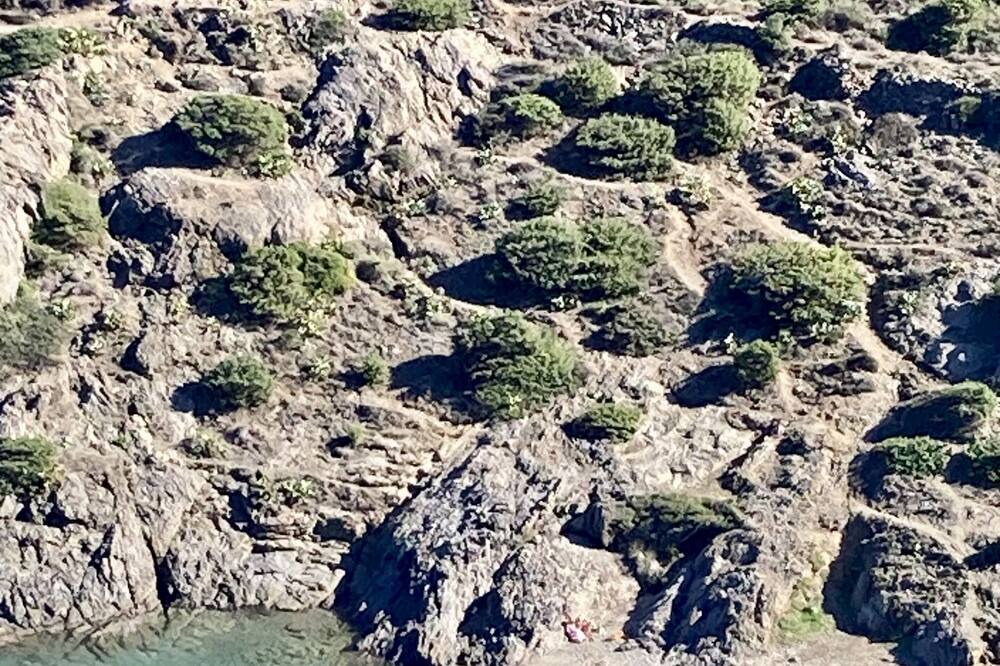 Photo of Others in Port de la Selva