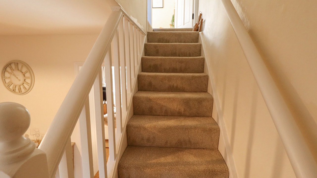 Photo of Others in South Cave