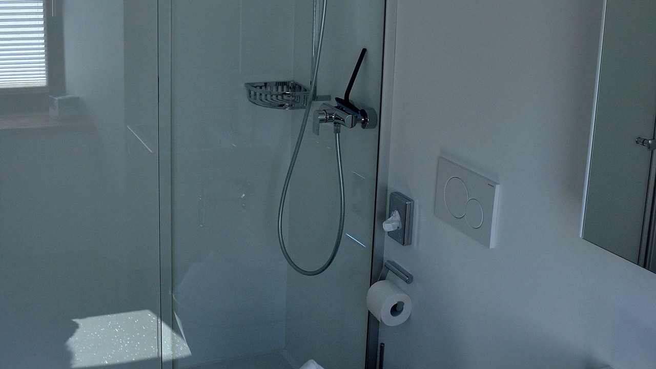 Photo of Bathroom in Lavizzara