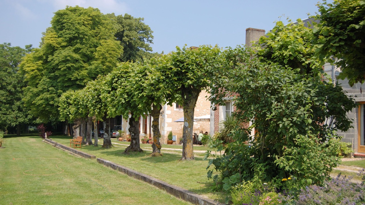 Photo of Others in Sarce