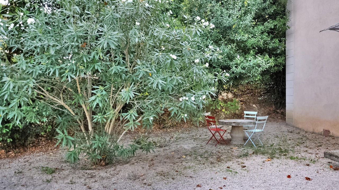 Photo of Outdoor in Roquemaure