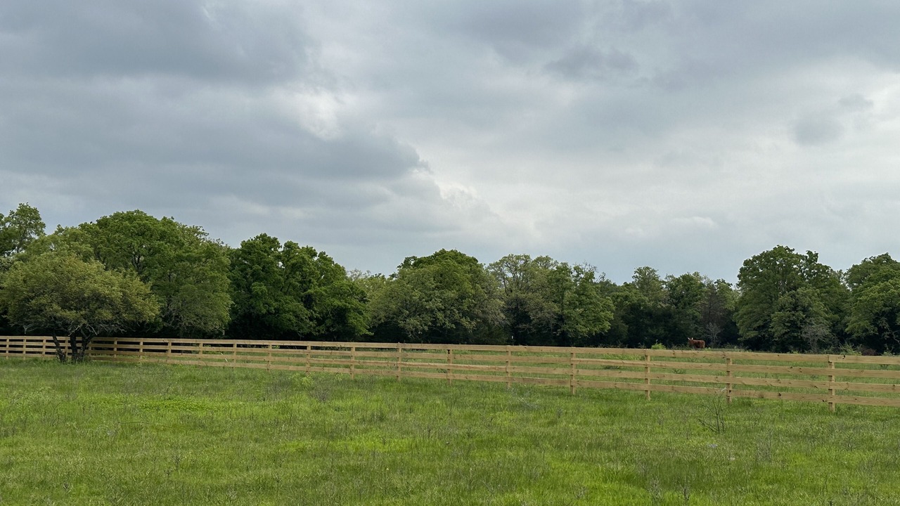 Photo of Outdoor in Carmine