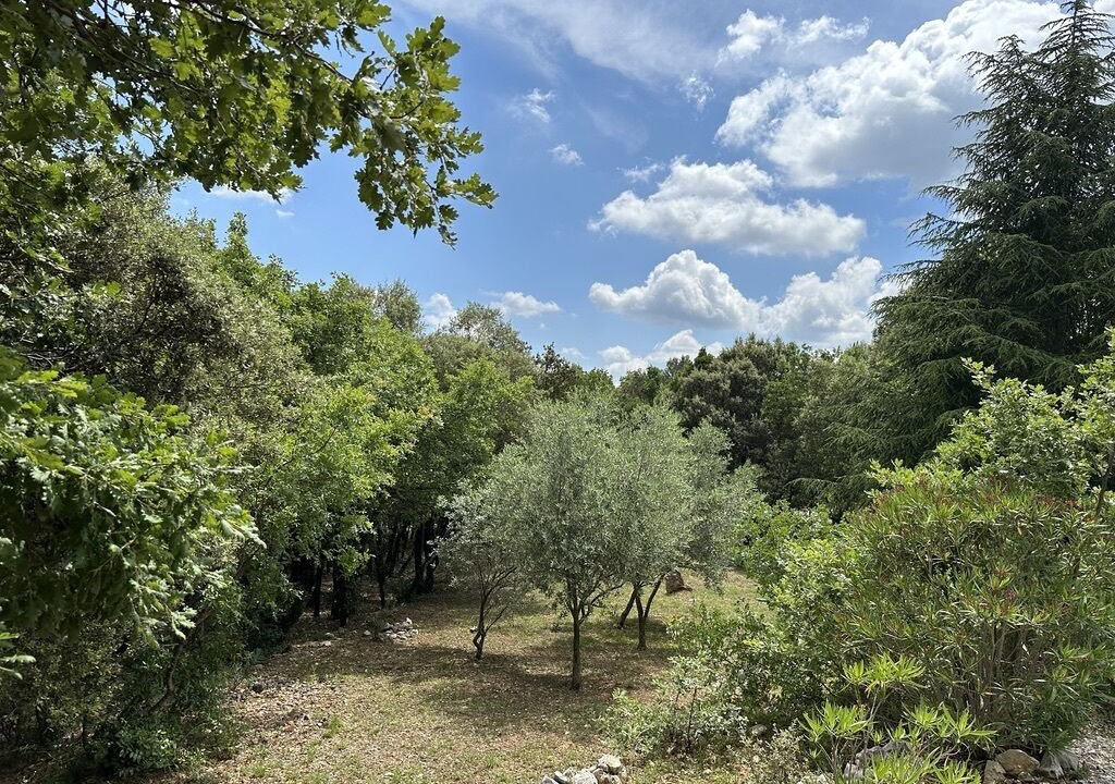 Photo of Outdoor in Saint-Martin-de-Londres