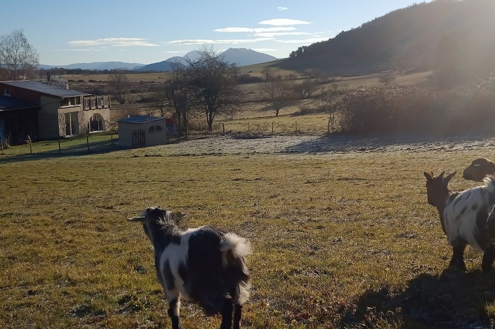 Photo of Outdoor in Brenac