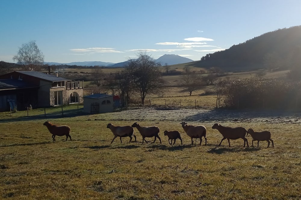 Photo of Outdoor in Brenac