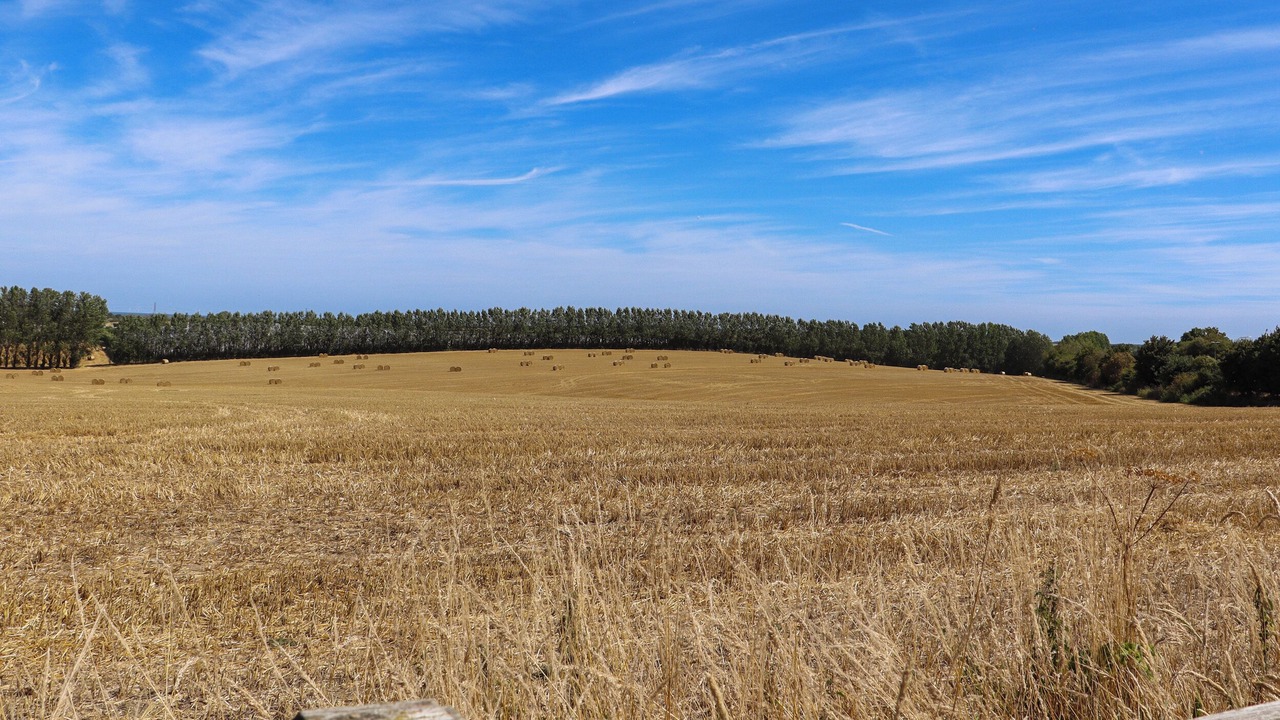 Photo of Others in Graveney