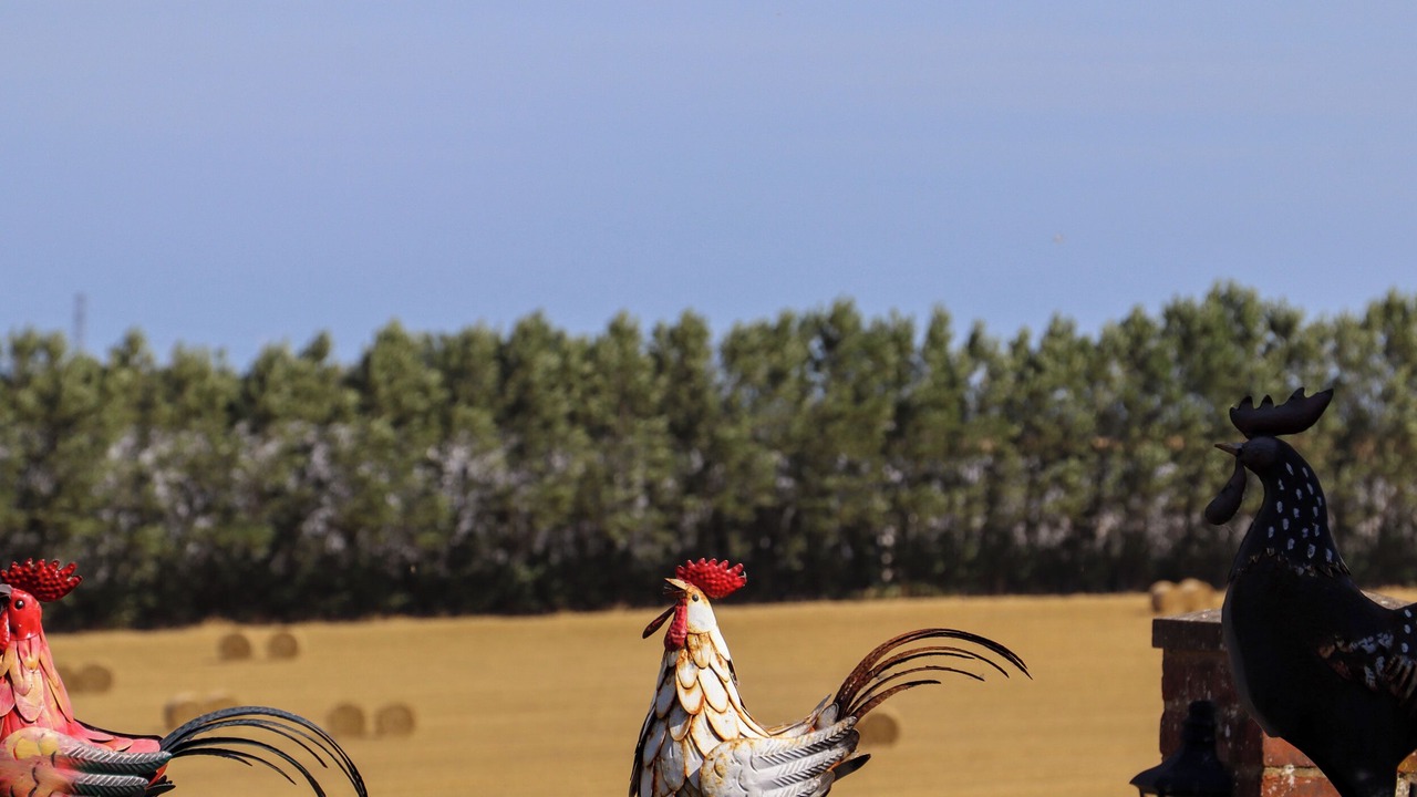 Photo of Others in Graveney