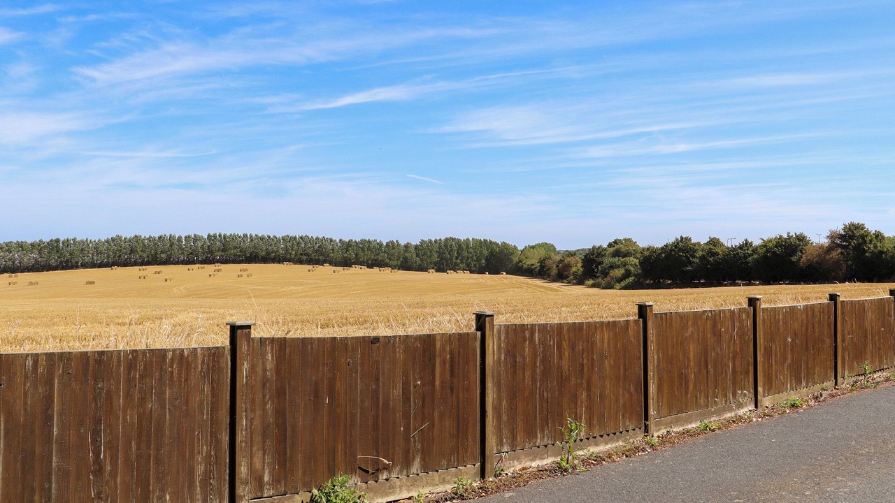 Photo of Others in Graveney