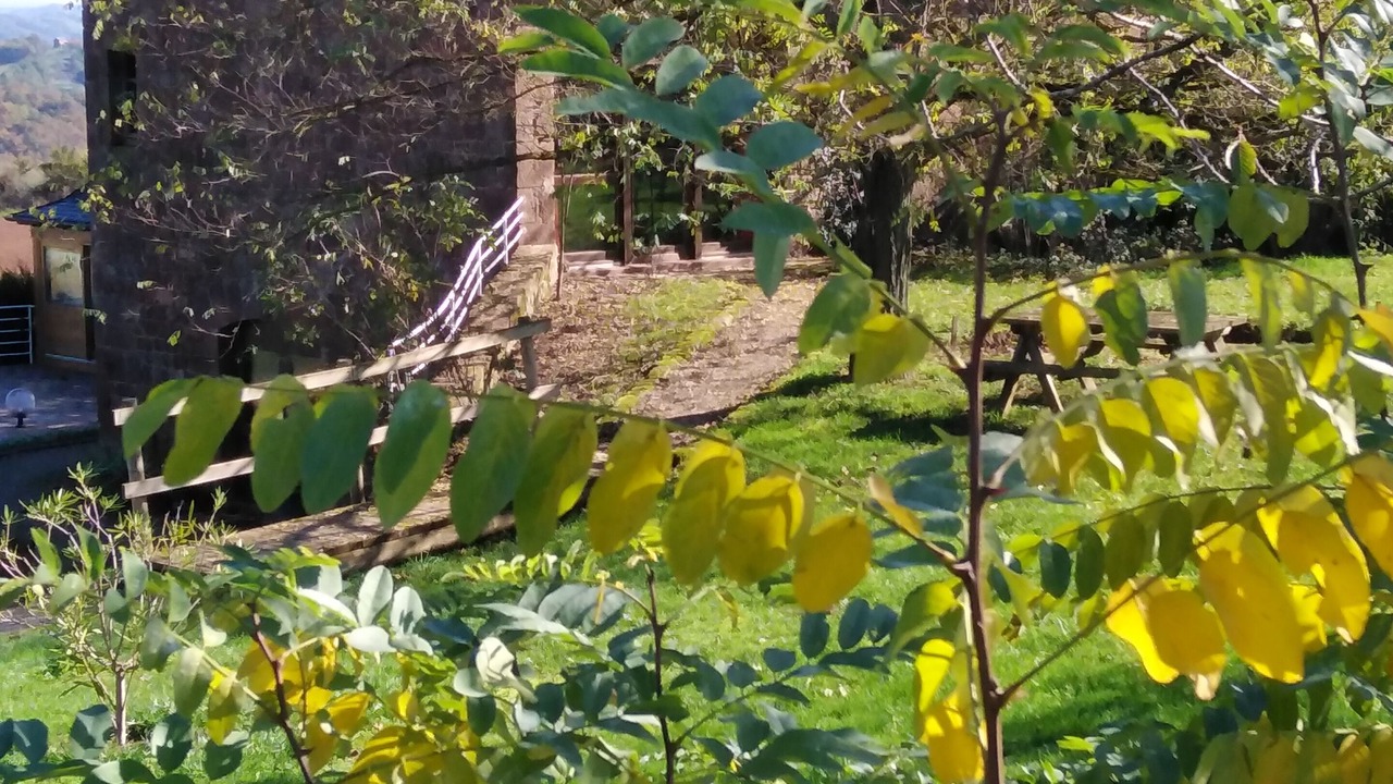 Photo of Outdoor in Saint-Cyprien-sur-Dourdou