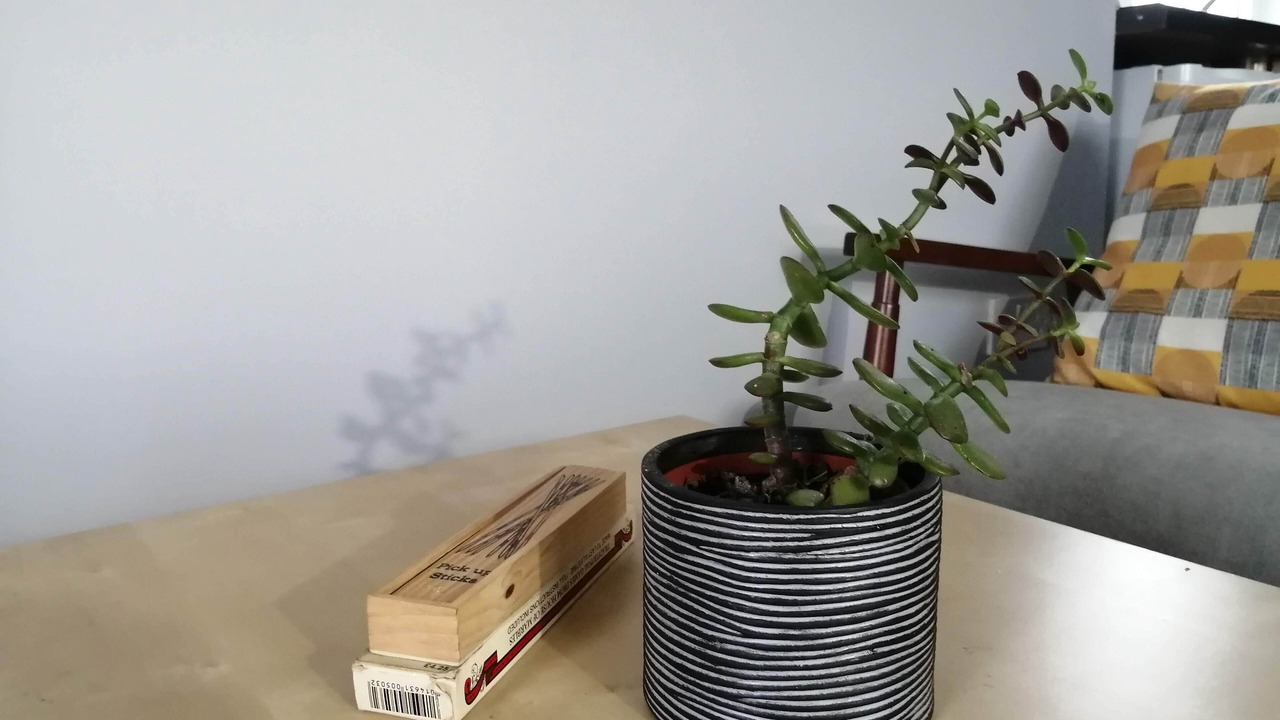 Photo of Others in Callander