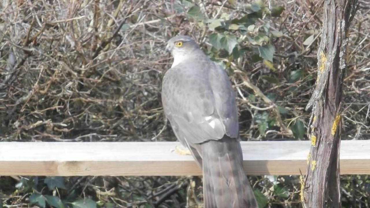 Photo of Others in Saint-Algis