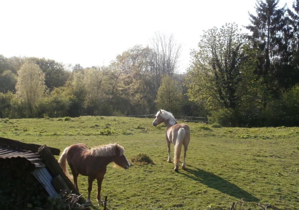 Photo of Outdoor in Saint-Algis