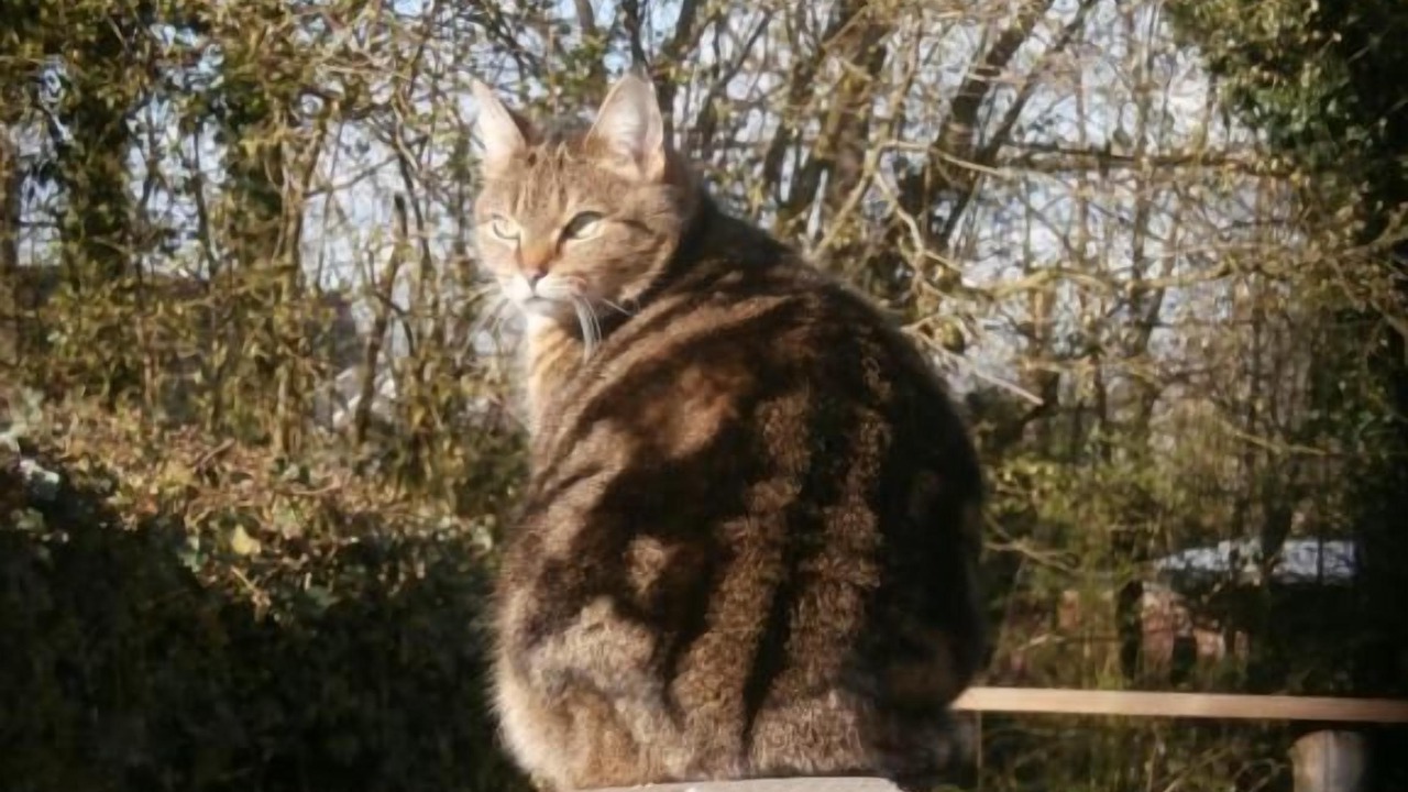 Photo of Outdoor in Saint-Algis