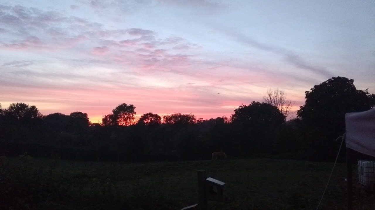 Photo of Outdoor in Saint-Algis