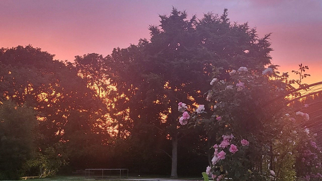 Photo of Others in Great Hallingbury