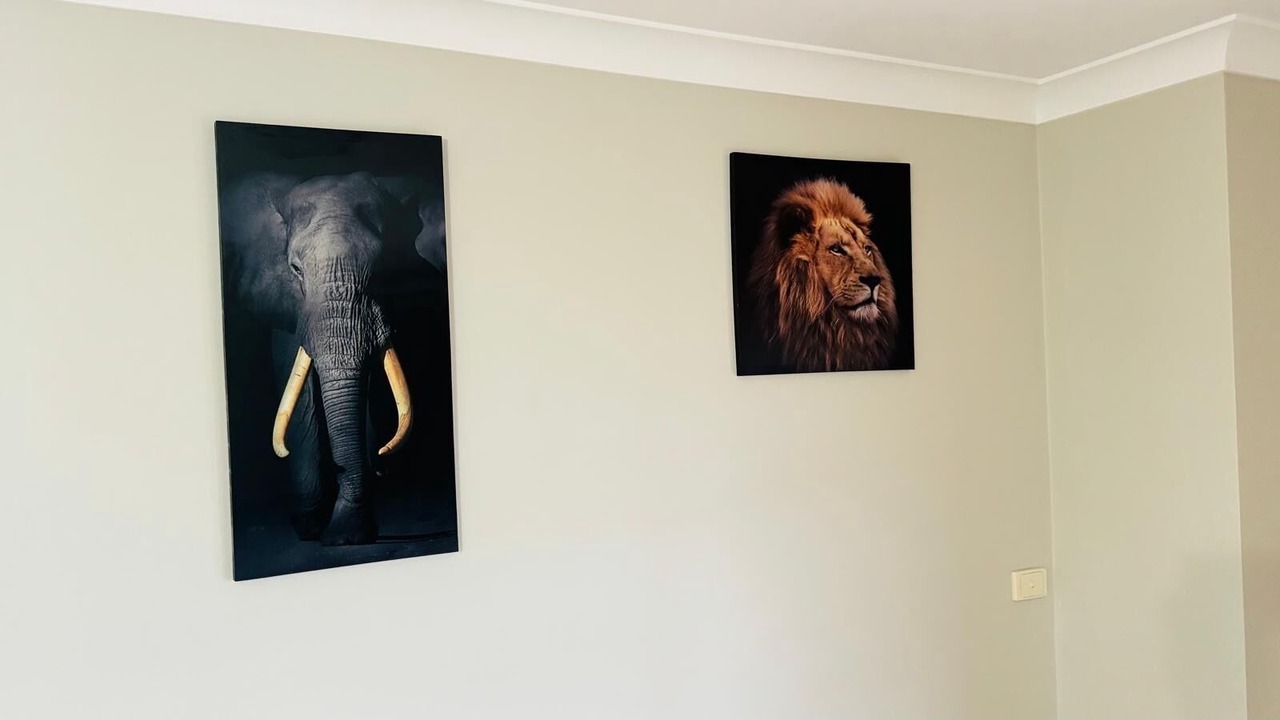 Photo of Others in Raglan