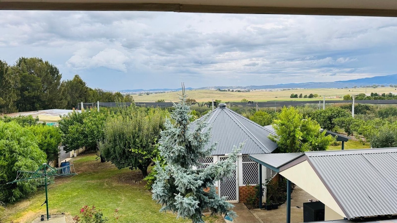 Photo of Others in Raglan